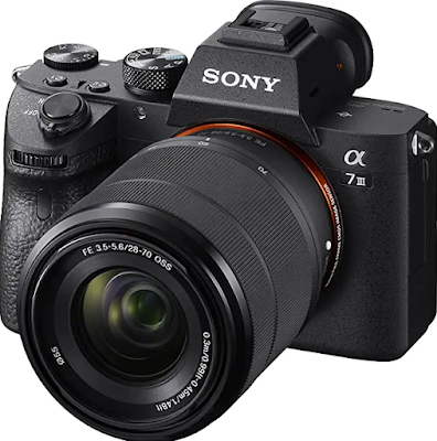 Top 5 Best Mirrorless Full Frame Cameras For Professionals 2023