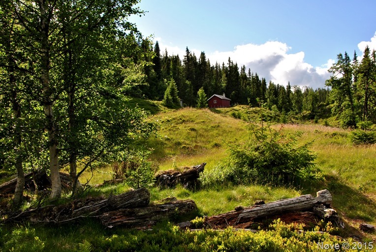 DSC_1797