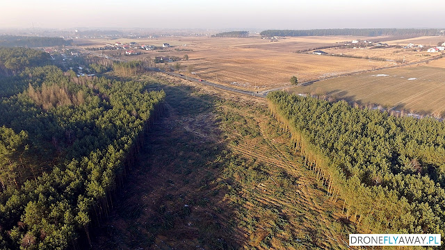 Widok z drona na wycinkę drzew w okolicy wsi Osówiec pod budowę S5