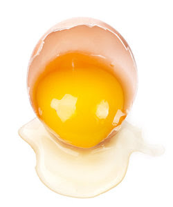 perbedaan-kuning-putih-telur.jpg