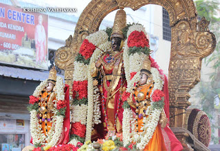 Parthasarathy Perumal, Maasi Ekadsesi, Ekadesi Purappadu,  Trplicane,  Purappadu, Thiruvallikeni, Utsavam, 