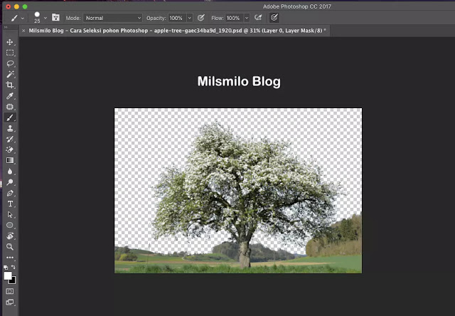Cara seleksi gambar pohon di photoshop, seleksi pohon dengan photoshop, cara menyeleksi gambar dan foto di photoshop