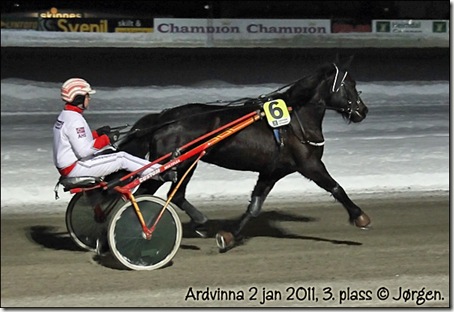 2011-3pl-leangen-2jan