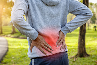 "Say Goodbye to Lower Back Pain with These Best Exercises: A Complete Guide"