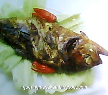 Resep Masakan Ikan Bakar