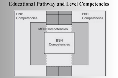 Educational Pathway and Level Competencies