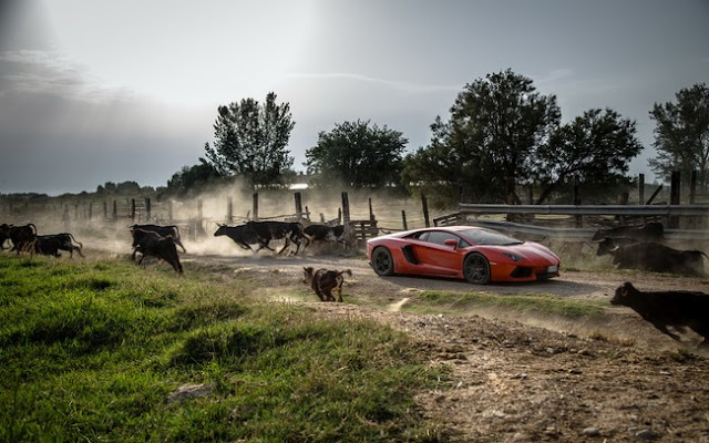 amborghini Aventador