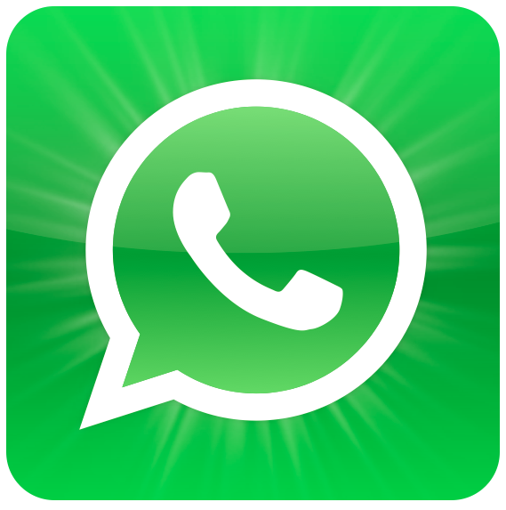 Vector Of the world Whatsapp icon  vector