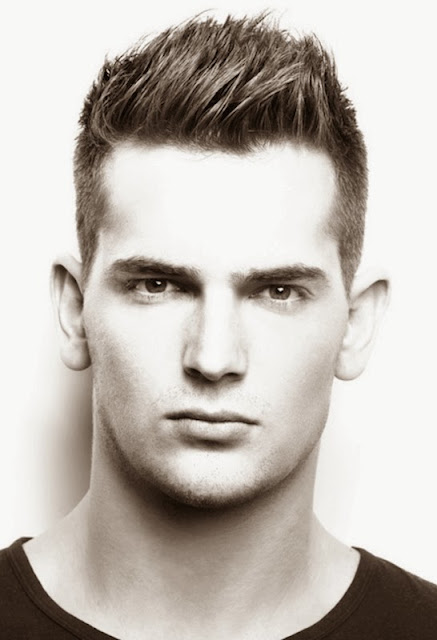 Mens Hairstyles 2013