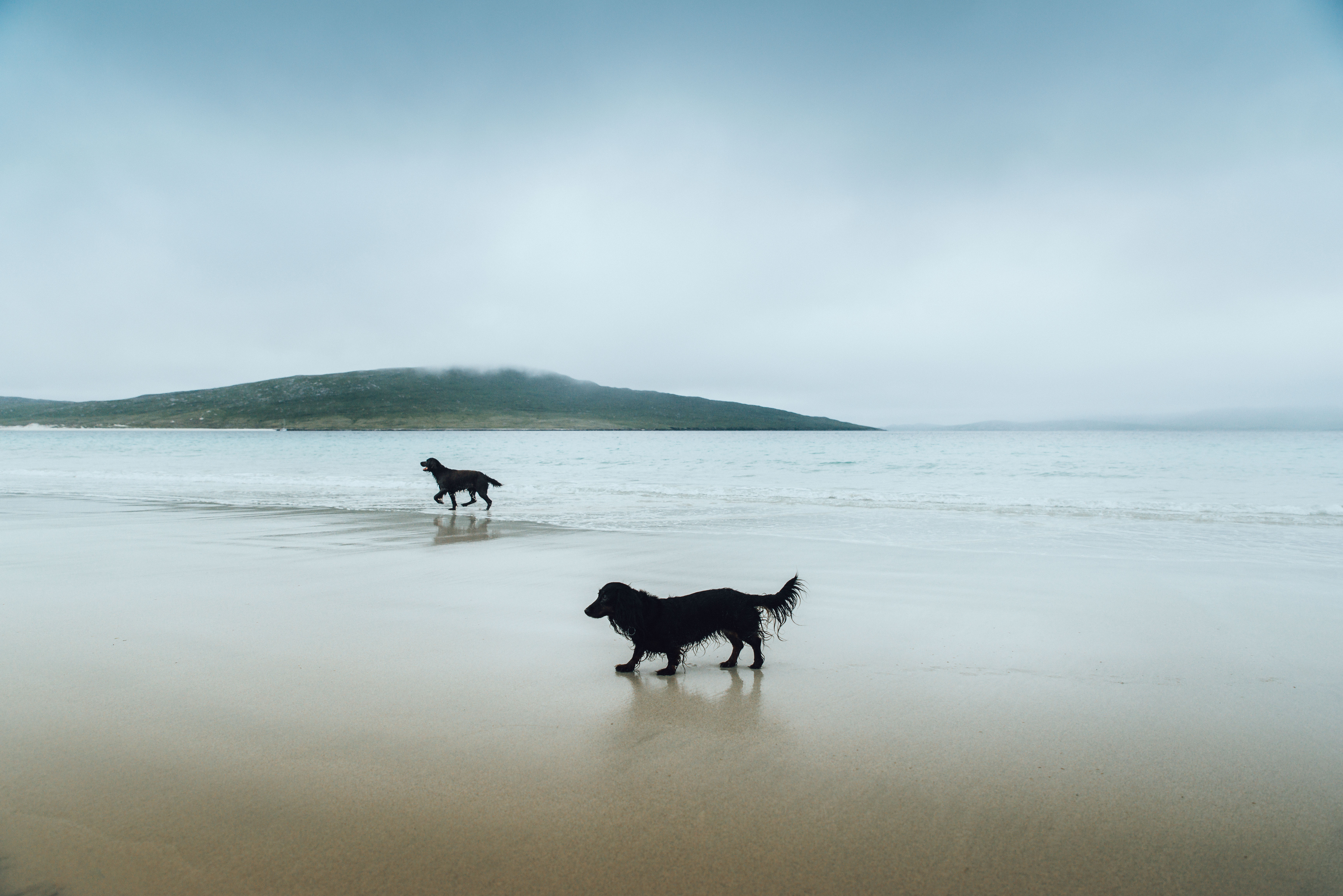 Luskentyre Beach Dog Walk, Isle of Harris liquid grain