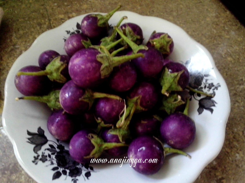 Sambal Terung - anajingga