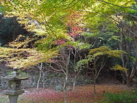 開山堂の散紅葉が綺麗