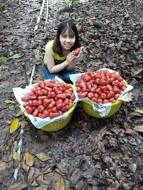 địa điểm du lịch Tiền Giang