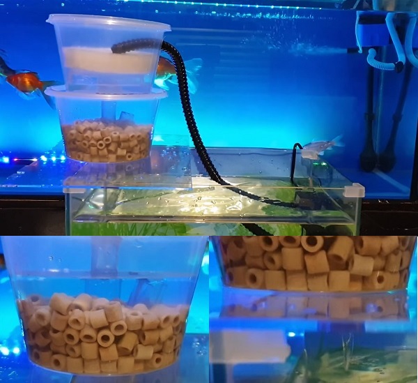 Where should I setup bio media in my aquarium filter?