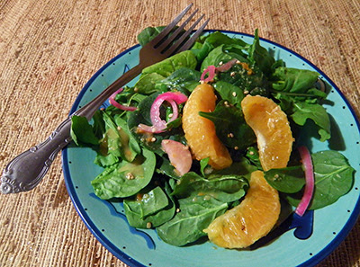 Plate of Dressed Salad