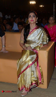 Actress Shriya Saran New Images in Silk Saree at Gautamiputra Satakarni Audio Launch  0012.jpg