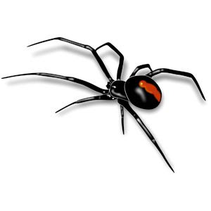 spider-black-widow-tattoo-design