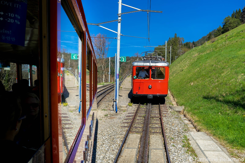 Mt. Rigi Cogwheel Train Two Days in Lucerne Luzern Switzerland