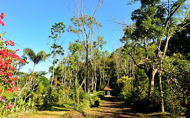 Jalan setapak di Pulau Sekarsari