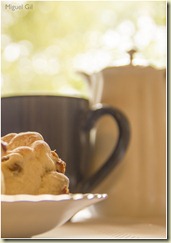 04.T con scones