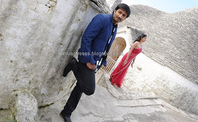 telugu movie Wanted stills