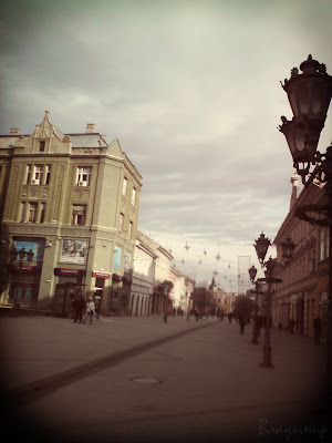 zmaj jovina ulica, kafići, novi sad, centar, foto, city center, exit