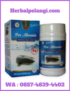 Jual Kapsul Pro Albumin Di Cilacap | WA : 0857-4839-4402