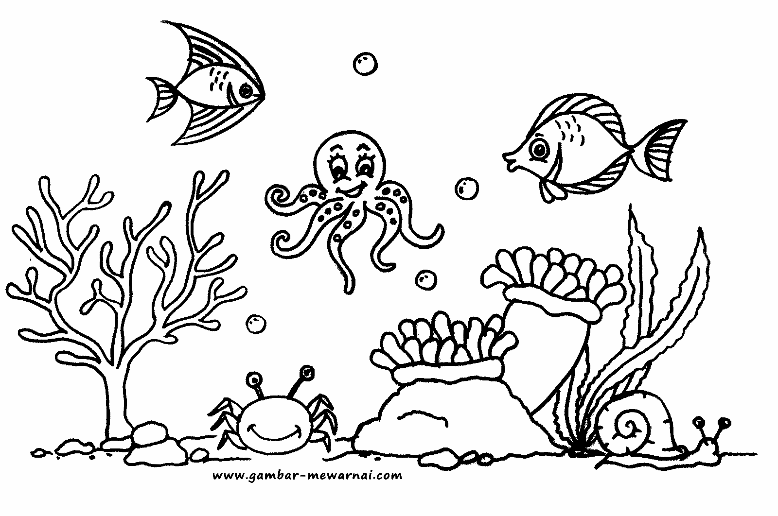 Gambar Kartun Dalam Laut Bestkartun