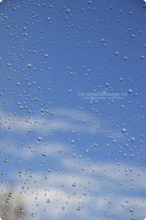 mysky#45