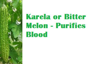 Health Benefits Of Karela or Bitter Melon - Purifies Blood