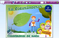 https://repositorio.educa.jccm.es/portal/odes/conocimiento_del_medio/5pc_reproducciondelasflores/