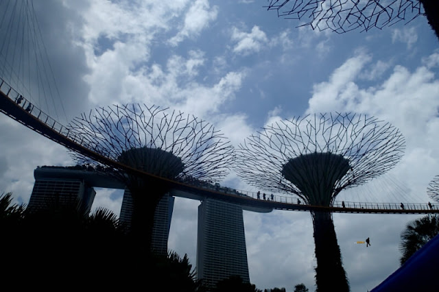 gardens by the bay