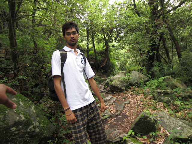 forest in galu temple