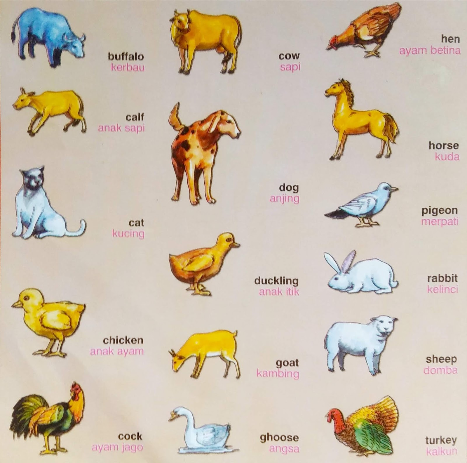  Nama  Nama  Anak Hewan dalam Bahasa Inggris dan Artinya 