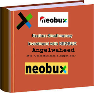 Neobux Small money investment with neobux pdf book