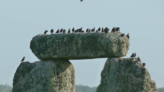 P1000144
