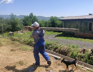 Hefting a heavy fence post