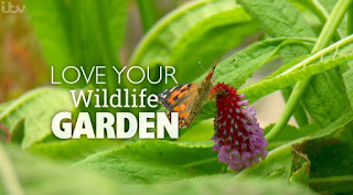 Love Your Wildlife Garden