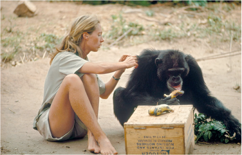 ICON | Jane Goodall