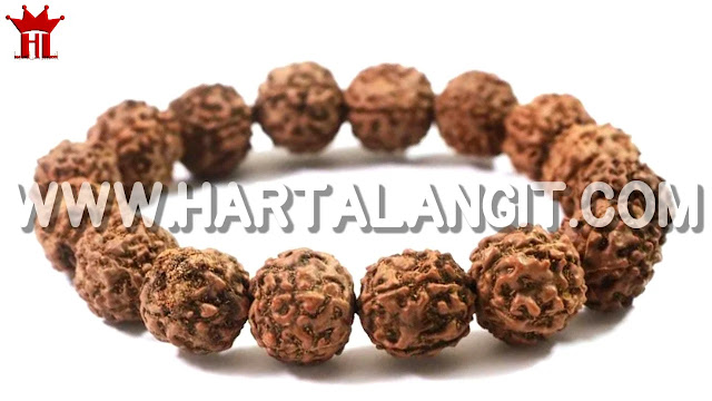 gambar gelang jenitri rudraksha asli