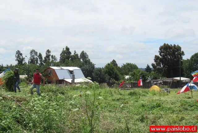 Familias se toman terrenos en Osorno en busca de solución habitacional