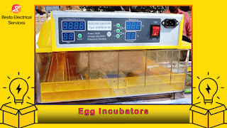 Egg incubators: Types, Uses, Pros & Cons, Best Companies
