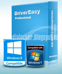 DriverEasy Pro