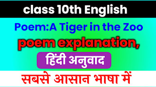 a tiger in the zoo class 10,a tiger in the zoo class 10 in english,a tiger in the zoo,a tiger in the zoo class 10 in hindi,class 10 a tiger in the zoo,a tiger in the zoo class 10 question answer,a tiger in the zoo poem summary class 10 english,a tiger in the zoo class 10th,class 10 english,class 10 a tiger in the zoo question answer,a tiger in the zoo class 10 bkp,class 10 a tiger in the zoo explain in hindi,a tiger in the zoo english class 10