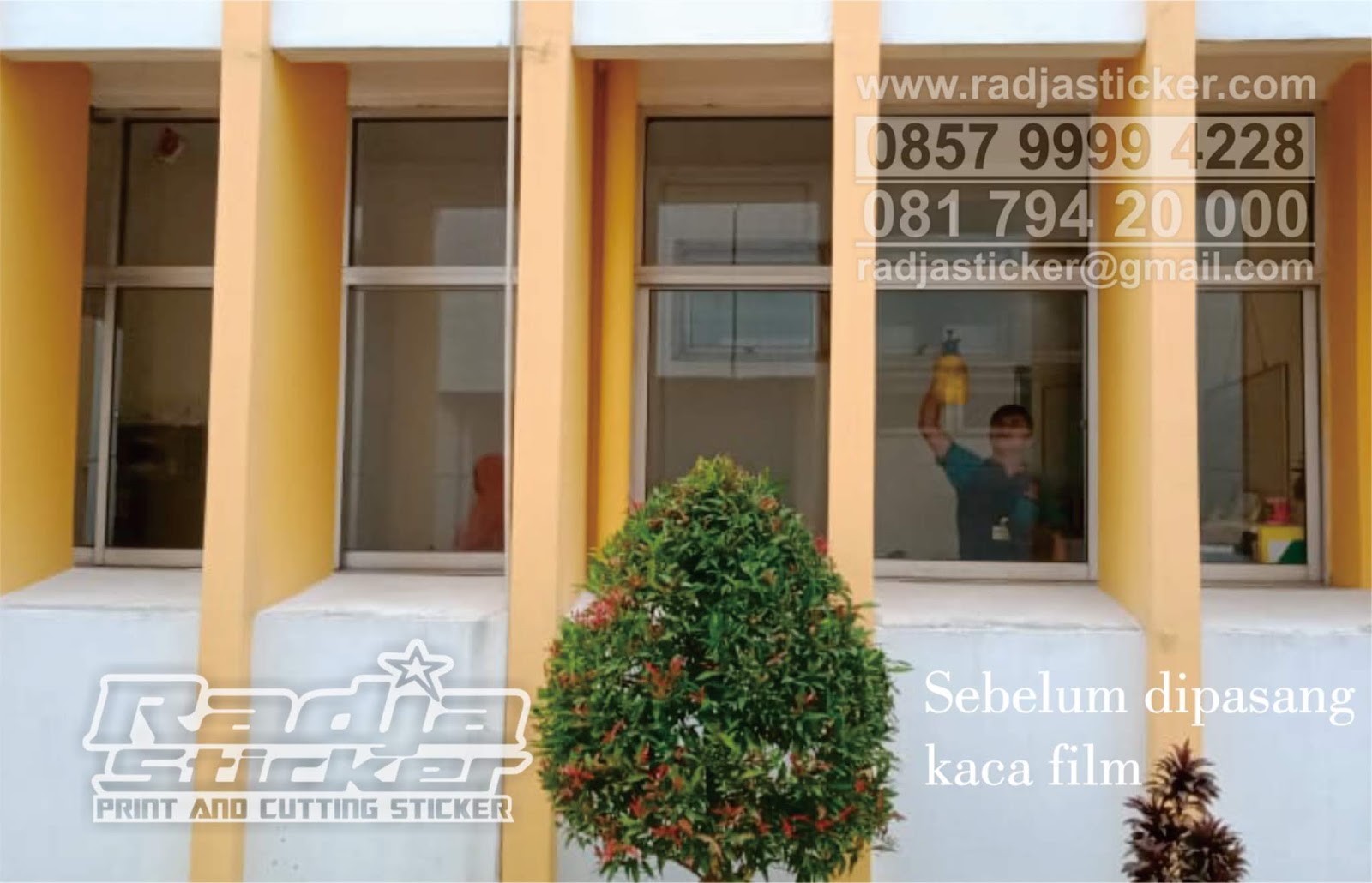  Kaca Film Rumah  Kaca  Film  Gedung Kaca  Film  Jendela 