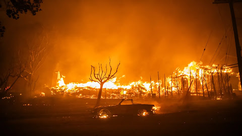 LA's wildfires sparked by rare collision of climate factors