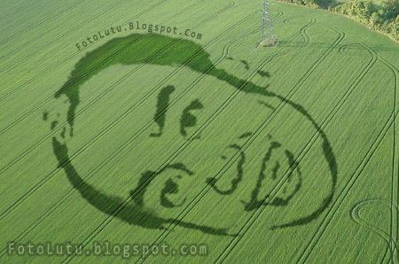 Crop Circle Azis Gagap