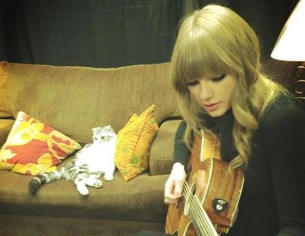 Taylor Swift at home with Pet Cat