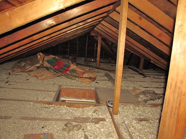 The loose-fill vermiculite insulation was widely used as attic insulation 