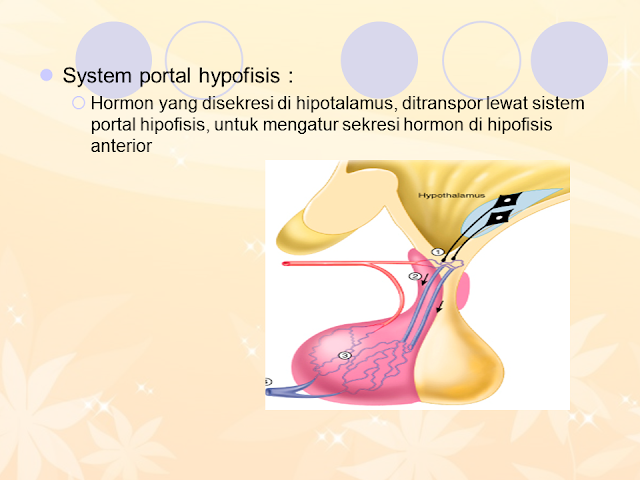 System Portal Hypofisis